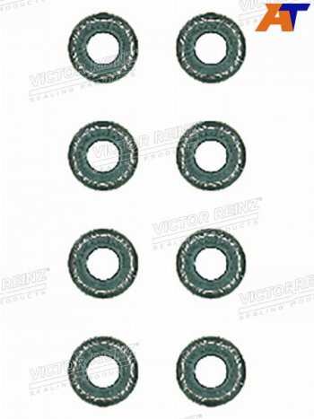 559 р. Комплект маслосъёмных колпачков  BMW 5(E34)3(E46) M43B16 VICTOR REINZ 12-26058-02  с доставкой в г. Тамбов. Увеличить фотографию 1