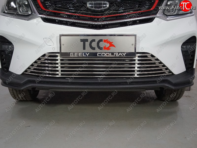 12 749 р. Декоративная вставка в бампер ТСС Тюнинг  Geely Coolray  SX11 (2018-2025) дорестайлинг, рестайлинг (d 12 мм)  с доставкой в г. Тамбов