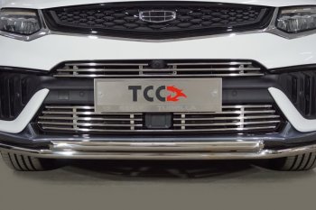 Нижняя декоративная вставка в бампер ТСС Тюнинг Geely Tugella  FY11,HPBA4 (2022-2025) рестайлинг (d 12 мм)