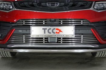Нижняя декоративная вставка в бампер ТСС Тюнинг Geely Tugella  FY11,HPBA4 (2019-2023) дорестайлинг (d 12 мм)