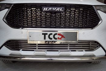 Нижняя декоративная вставка в бампер ТСС Тюнинг Haval F7 (2018-2022)  дорестайлинг (d 12 мм)