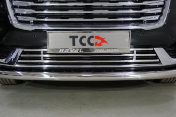 Нижняя декоративная вставка в бампер ТСС Тюнинг Haval Jolion (2020-2024) дорестайлинг (d 16 мм )