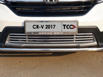 Нижняя декоративная вставка в бампер ТСС Тюнинг Honda CR-V  RW,RT (2016-2020) дорестайлинг (d 16 мм )