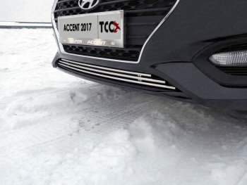Нижняя декоративная вставка в бампер ТСС Тюнинг Hyundai Solaris  HCR (2017-2020) седан дорестайлинг (d 12 мм)