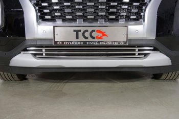 Нижняя декоративная вставка в бампер ТСС Тюнинг Hyundai Palisade  LX2 (2018-2022) (d 16 мм )