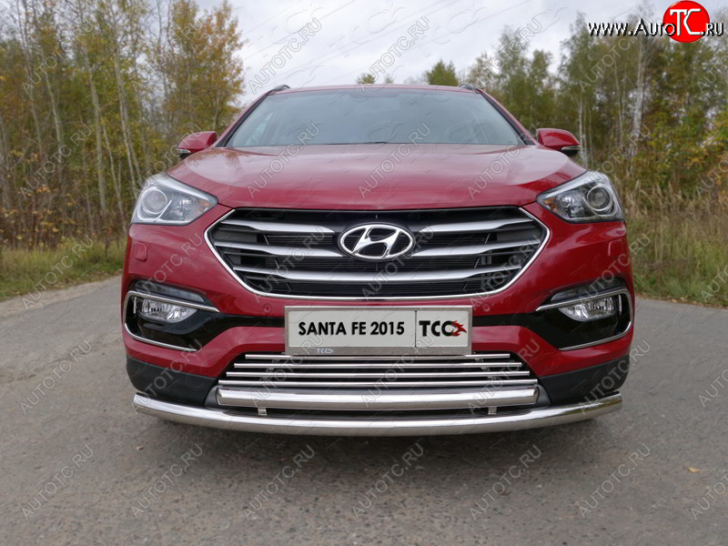 9 349 р. Декоративная вставка решетки радиатора (Premium) ТСС Тюнинг  Hyundai Santa Fe  DM (2015-2019) рестайлинг (d 16 мм)  с доставкой в г. Тамбов