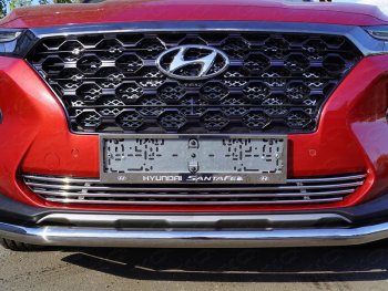Нижняя декоративная вставка в бампер ТСС Тюнинг Hyundai Santa Fe  TM (2018-2021) дорестайлинг
