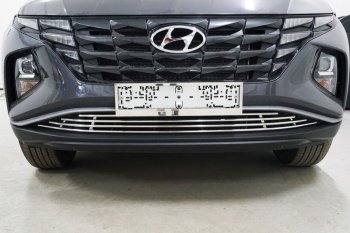 Нижняя декоративная вставка в бампер ТСС Тюнинг Hyundai Tucson  NX4 (2020-2022) (d 12 мм)