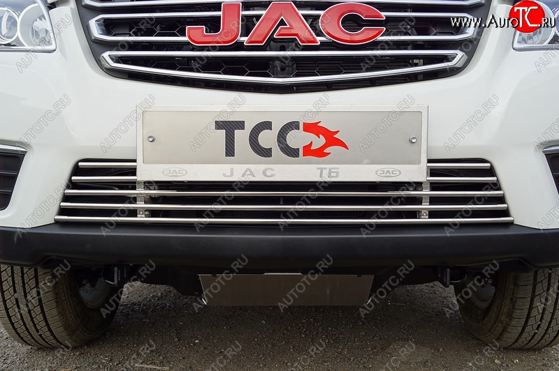 5 899 р. Декоративная вставка решетки радиатора ТСС Тюнинг  JAC T6 (2018-2024) пикап (d 12 мм)  с доставкой в г. Тамбов