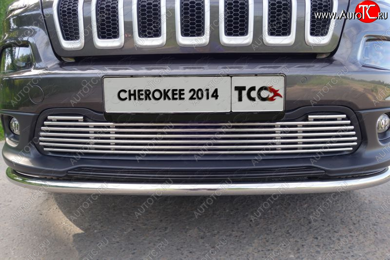 10 799 р. Декоративная вставка решетки радиатора ТСС Тюнинг  Jeep Cherokee  KL (2014-2017) дорестайлинг (d 12 мм)  с доставкой в г. Тамбов