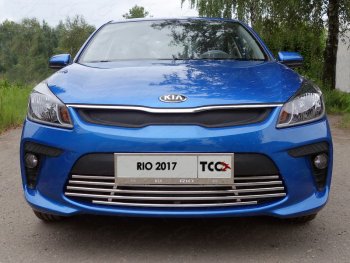 Нижняя декоративная вставка в бампер ТСС Тюнинг KIA Rio  4 YB (2017-2020) дорестайлинг, хэтчбэк (d 16 мм)