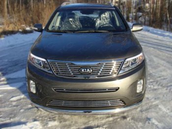 Нижняя декоративная вставка в бампер ТСС Тюнинг KIA Sorento  XM (2012-2015) рестайлинг (d 12 мм)