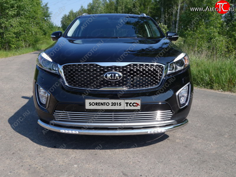 7 699 р. Декоративная вставка решетки радиатора ТСС Тюнинг  KIA Sorento  UM/Prime (2014-2018) дорестайлинг (d 12 мм)  с доставкой в г. Тамбов