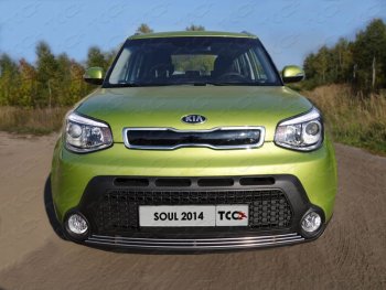 Нижняя декоративная вставка в бампер ТСС Тюнинг KIA Soul  PS (2014-2016) дорестайлинг (d 12 мм)