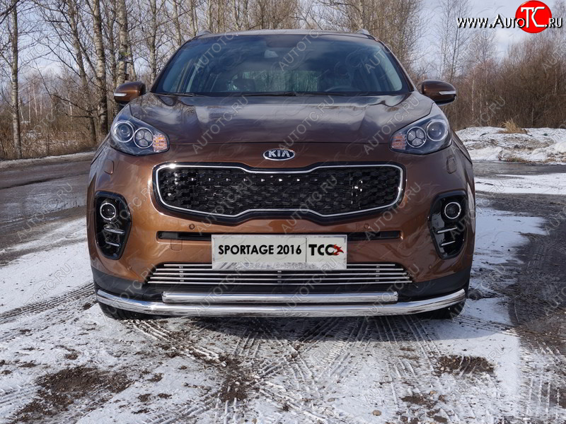 6 099 р. Декоративная вставка решетки радиатора ТСС Тюнинг  KIA Sportage  4 QL (2016-2018) дорестайлинг (d 12 мм)  с доставкой в г. Тамбов