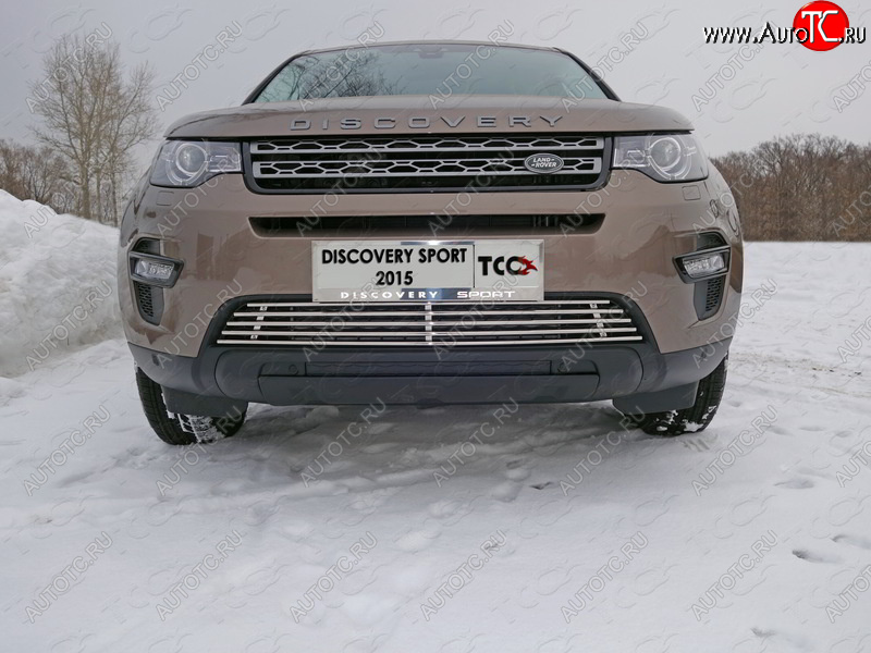 9 349 р. Декоративная вставка решетки радиатора ТСС Тюнинг  Land Rover Discovery Sport  L550 (2014-2019) дорестайлинг (d 12 мм)  с доставкой в г. Тамбов