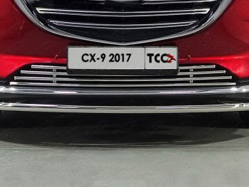 Нижняя декоративная вставка в бампер ТСС Тюнинг Mazda CX-9  TC (2015-2025) дорестайлинг (d 16 мм)