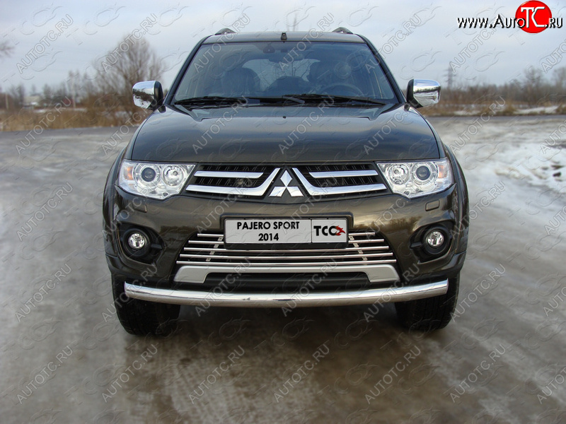 9 349 р. Декоративная вставка решетки радиатора ТСС Тюнинг  Mitsubishi Pajero Sport  PB (2013-2017) рестайлинг (d 16 мм)  с доставкой в г. Тамбов