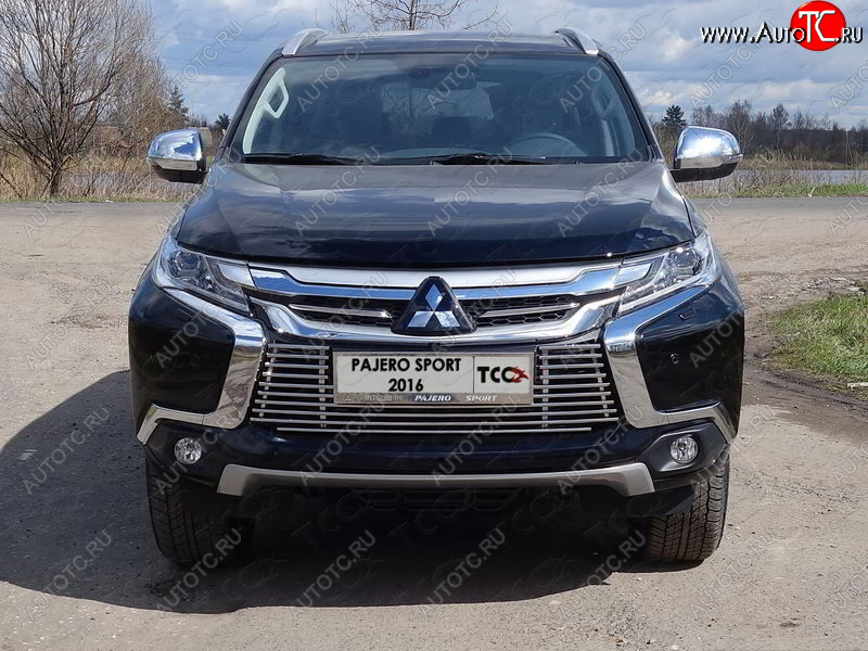 9 349 р. Декоративная вставка решетки радиатора ТСС Тюнинг  Mitsubishi Pajero Sport  QE (2015-2021) дорестайлинг (d 12 мм)  с доставкой в г. Тамбов