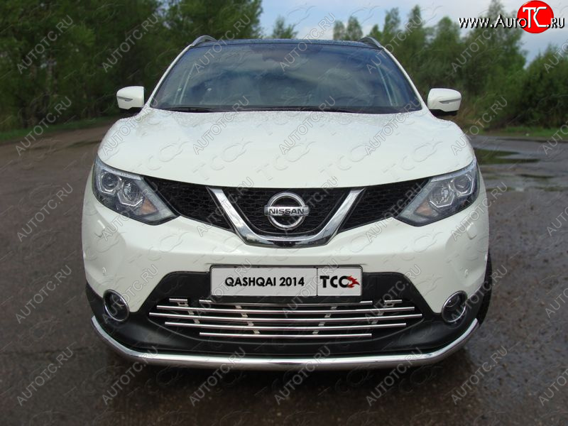 9 349 р. Декоративная вставка решетки радиатора ТСС Тюнинг  Nissan Qashqai  2 (2013-2019) J11 дорестайлинг (d 16 мм)  с доставкой в г. Тамбов