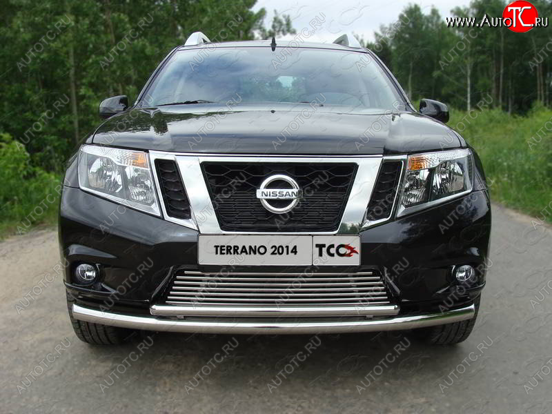 7 699 р. Декоративная вставка решетки радиатора ТСС Тюнинг  Nissan Terrano  D10 (2013-2016) дорестайлинг (d 12 мм)  с доставкой в г. Тамбов