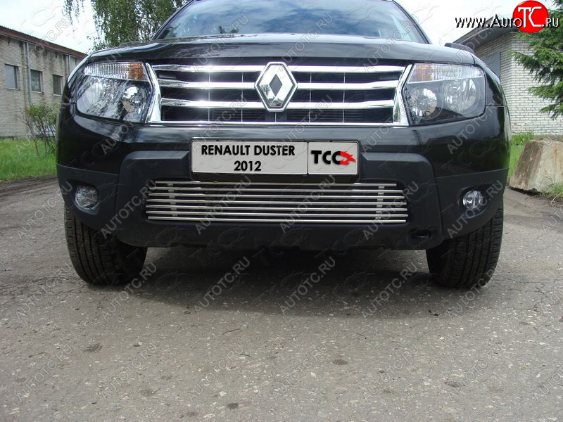 7 699 р. Декоративная вставка переднего бампера ТСС Тюнинг  Renault Duster  HS (2010-2015) дорестайлинг (d 12 мм)  с доставкой в г. Тамбов