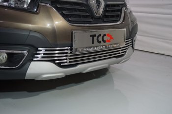 Нижняя декоративная вставка в бампер ТСС Тюнинг Renault Logan Stepway (2018-2025) (d 12 мм)