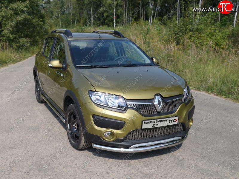 14 999 р. Защита переднего бампера нижняя d60,3 мм ТСС Тюнинг Renault Sandero Stepway (B8) дорестайлинг (2014-2018) (нержавейка)  с доставкой в г. Тамбов