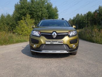 Нижняя декоративная вставка в бампер ТСС Тюнинг Renault Sandero Stepway  (B8) (2014-2018) дорестайлинг (d 12 мм)