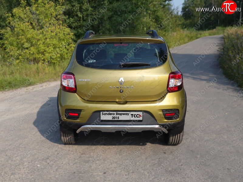 12 299 р. Защита задняя (нержавейка 42,4 мм), ТСС Тюнинг  Renault Sandero Stepway  (B8) (2014-2018) дорестайлинг  с доставкой в г. Тамбов