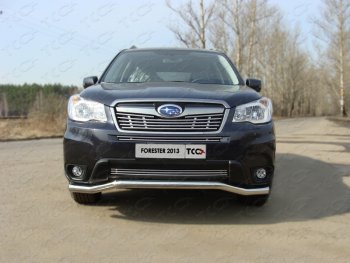 Нижняя декоративная вставка в бампер ТСС Тюнинг Subaru Forester  SJ (2012-2016) дорестайлинг (d 12 мм)