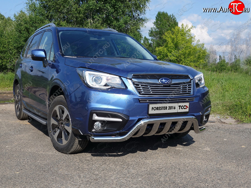 9 349 р. Верхняя декоративная вставка решетки радиатора ТСС Тюнинг  Subaru Forester  SJ (2016-2019) рестайлинг (d 12 мм)  с доставкой в г. Тамбов