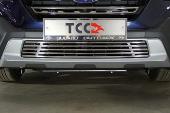 Декоративная вставка решетки радиатора ТСС Тюнинг Subaru (Субару) Outback (Аутбэк)  BT (2019-2025) BT универсал ()