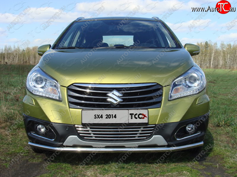 6 099 р. Декоративная вставка решетки радиатора ТСС Тюнинг  Suzuki SX4  JYB, JYA (2013-2016) хэтчбэк дорестайлинг (d 12 мм)  с доставкой в г. Тамбов