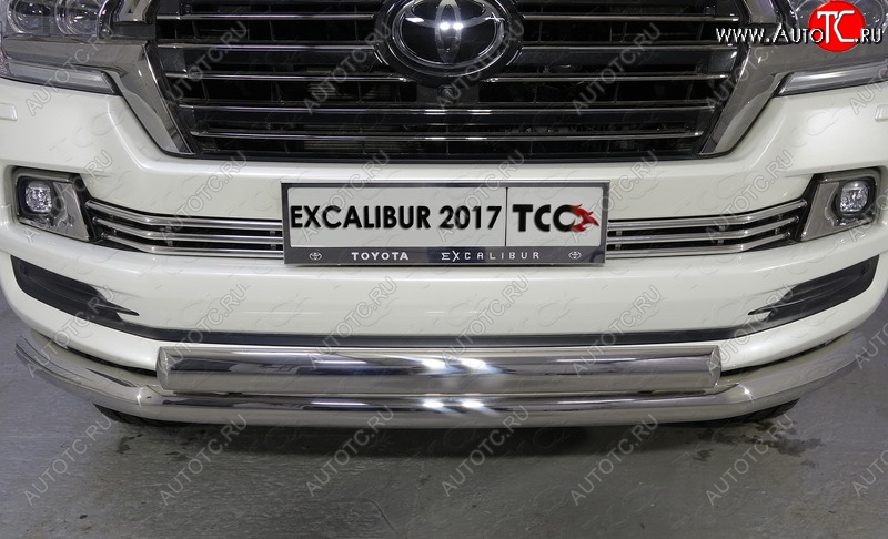 12 299 р. Декоративная вставка решетки радиатора (EXCALIBUR) ТСС Тюнинг  Toyota Land Cruiser  200 (2015-2021) 2-ой рестайлинг (d 16 мм)  с доставкой в г. Тамбов