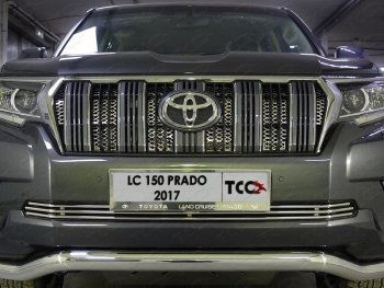 Нижняя декоративная вставка в бампер ТСС Тюнинг Toyota Land Cruiser Prado  J150 (2017-2020) 2-ой рестайлинг (d 12 мм)