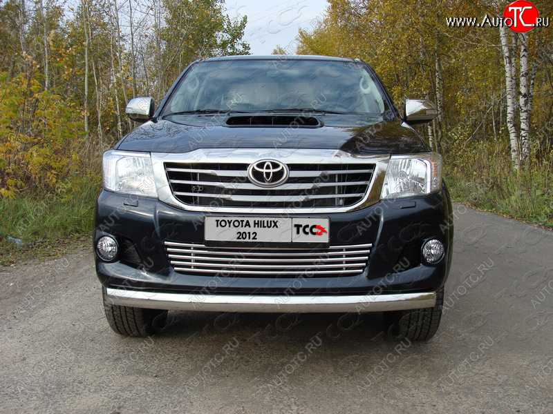 12 299 р. Декоративная вставка решетки радиатора ТСС Тюнинг  Toyota Hilux  AN20,AN30 (2011-2016)  2-ой рестайлинг (d 16 мм)  с доставкой в г. Тамбов