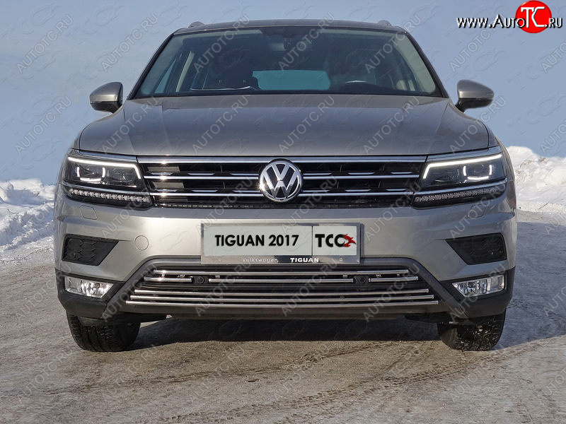 7 699 р. Нижняя декоративная вставка в бампер (пакет Offroad) ТСС Тюнинг Volkswagen Tiguan Mk2 дорестайлинг (2016-2020) (d 16 мм)  с доставкой в г. Тамбов