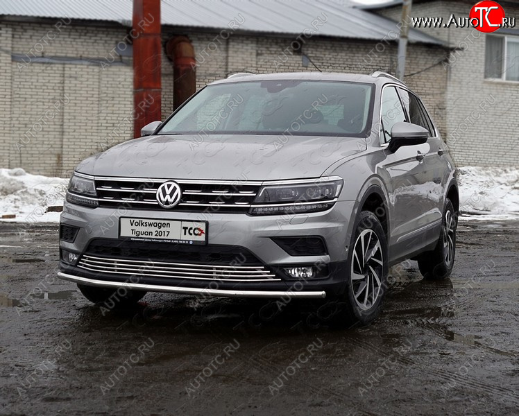 16 999 р. Защита переднего бампера нижняя d42,4 мм ТСС Тюнинг Volkswagen Tiguan Mk2 дорестайлинг (2016-2020) (нержавейка)  с доставкой в г. Тамбов