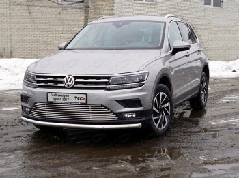 18 449 р. Защита переднего бампера нижняя d60,3 мм ТСС Тюнинг Volkswagen Tiguan Mk2 дорестайлинг (2016-2020) (нержавейка)  с доставкой в г. Тамбов. Увеличить фотографию 1