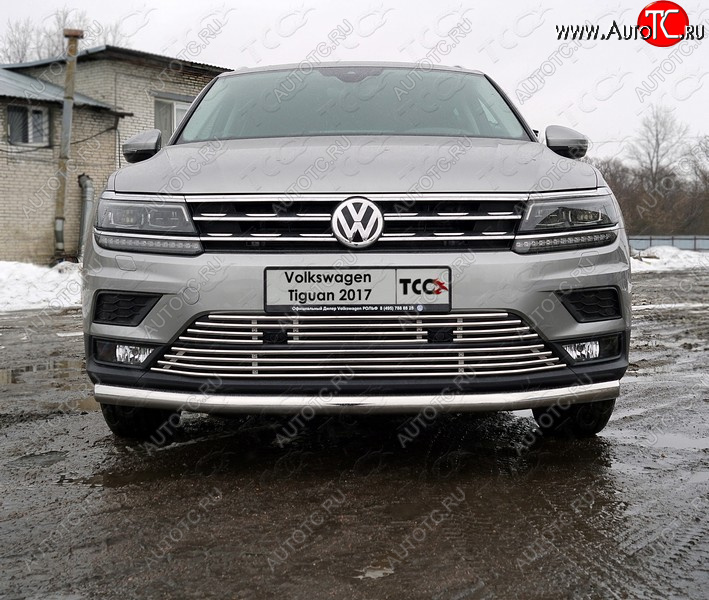 6 499 р. Верхняя декоративная вставка решетки радиатора ТСС Тюнинг  Volkswagen Tiguan  Mk2 (2016-2020) дорестайлинг (d 12 мм)  с доставкой в г. Тамбов