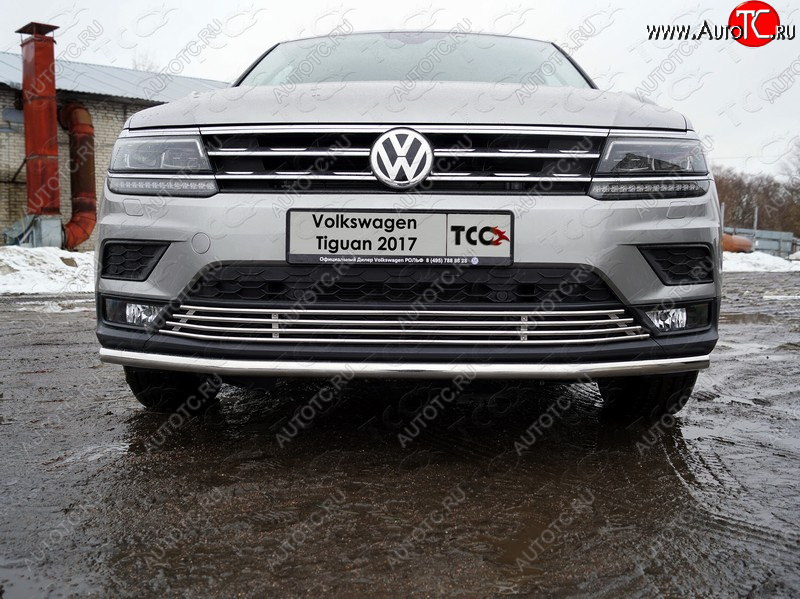 7 699 р. Нижняя декоративная вставка в бампер ТСС Тюнинг Volkswagen Tiguan Mk2 дорестайлинг (2016-2020) (d 12 мм)  с доставкой в г. Тамбов