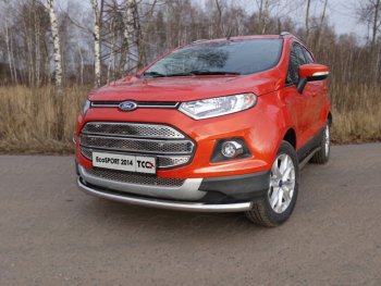 12 999 р. Защита переднего бампера нижняя d60,3 мм ТСС Тюнинг Ford EcoSport дорестайлинг (2013-2019) (нержавейка)  с доставкой в г. Тамбов. Увеличить фотографию 1