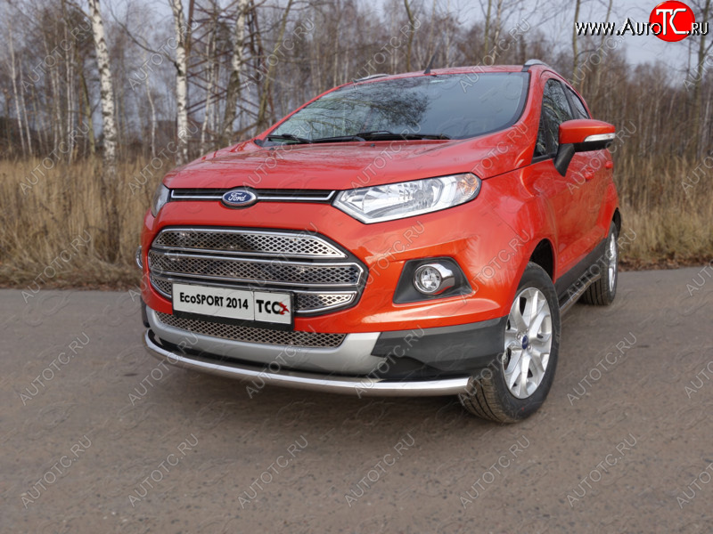 12 999 р. Защита переднего бампера нижняя d60,3 мм ТСС Тюнинг Ford EcoSport дорестайлинг (2013-2019) (нержавейка)  с доставкой в г. Тамбов