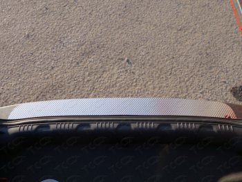 Накладка на задний бампер ТСС Тюнинг Ford EcoSport (2013-2019) дорестайлинг (Лист декоративный)