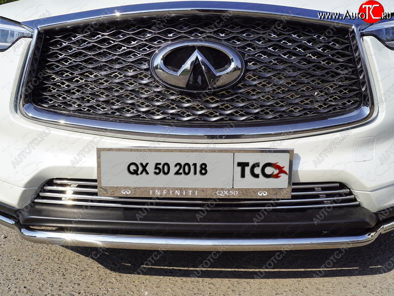 6 449 р. Рамка гос. номера ТСС Тюнинг INFINITI Qx50 J55 (2017-2022) (нержавейка)  с доставкой в г. Тамбов