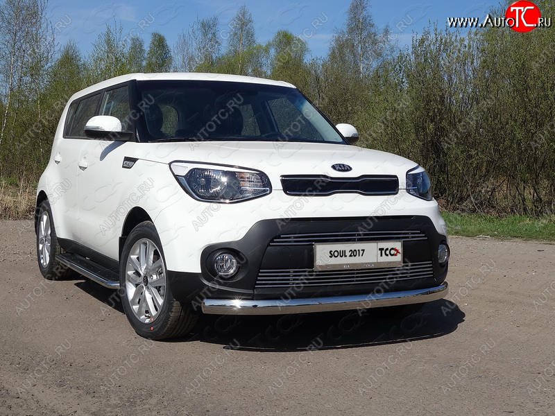 6 999 р. Рамка гос. номера ТСС Тюнинг KIA Soul PS рестайлинг (2017-2019) (нержавейка)  с доставкой в г. Тамбов