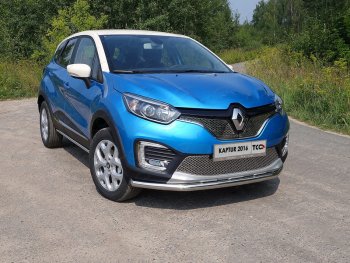 Рамка гос. номера ТСС Тюнинг Renault Kaptur дорестайлинг (2016-2020) ()