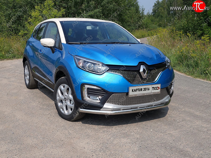 6 449 р. Рамка гос. номера ТСС Тюнинг Renault Kaptur дорестайлинг (2016-2020) (нержавейка)  с доставкой в г. Тамбов