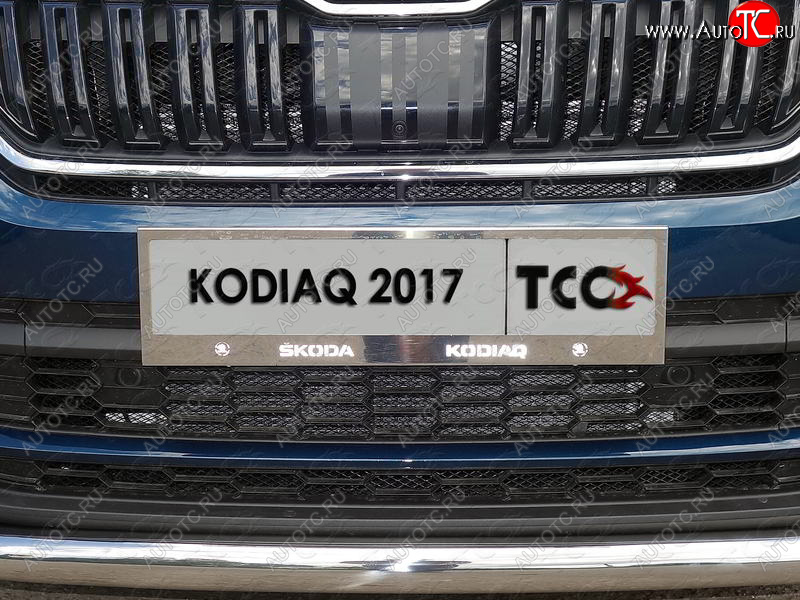 6 249 р. Рамка гос. номера ТСС Тюнинг Skoda Kodiaq NU7 дорестайлинг (2017-2021) (нержавейка)  с доставкой в г. Тамбов